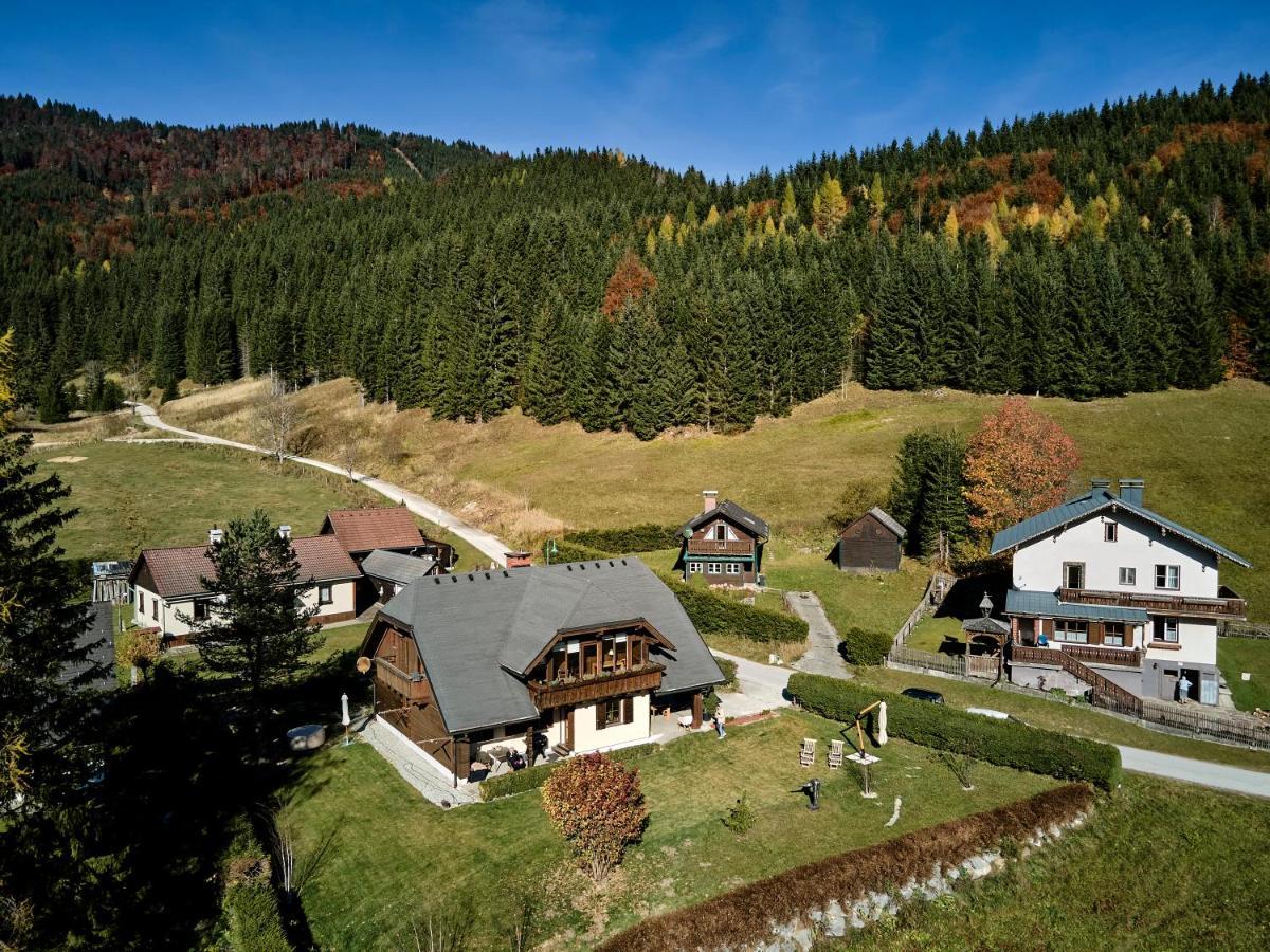 Frein Chalets - Wildalm Frein an der Murz Bagian luar foto