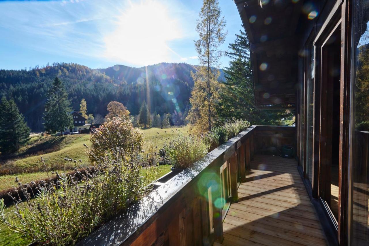 Frein Chalets - Wildalm Frein an der Murz Bagian luar foto