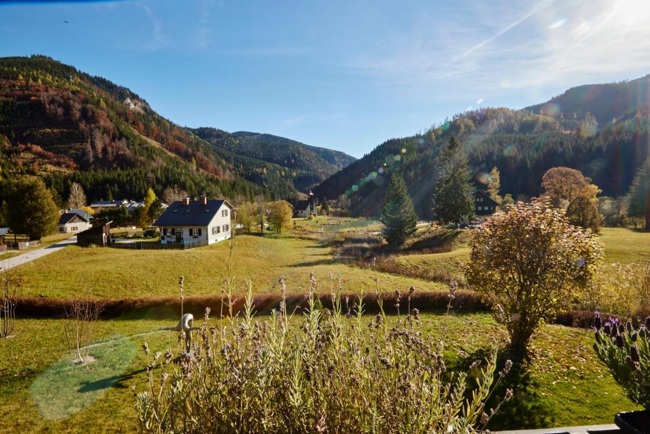 Frein Chalets - Wildalm Frein an der Murz Bagian luar foto