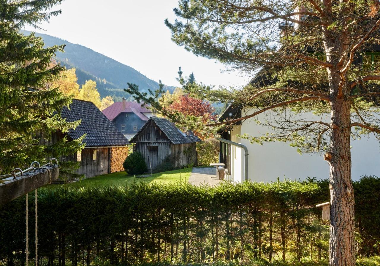 Frein Chalets - Wildalm Frein an der Murz Bagian luar foto