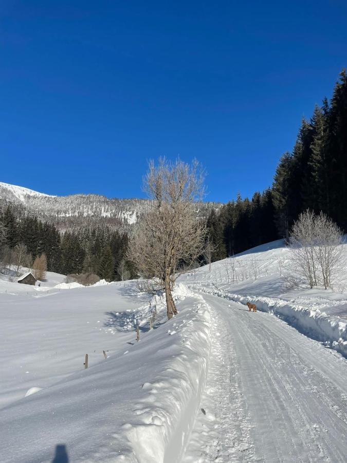 Frein Chalets - Wildalm Frein an der Murz Bagian luar foto