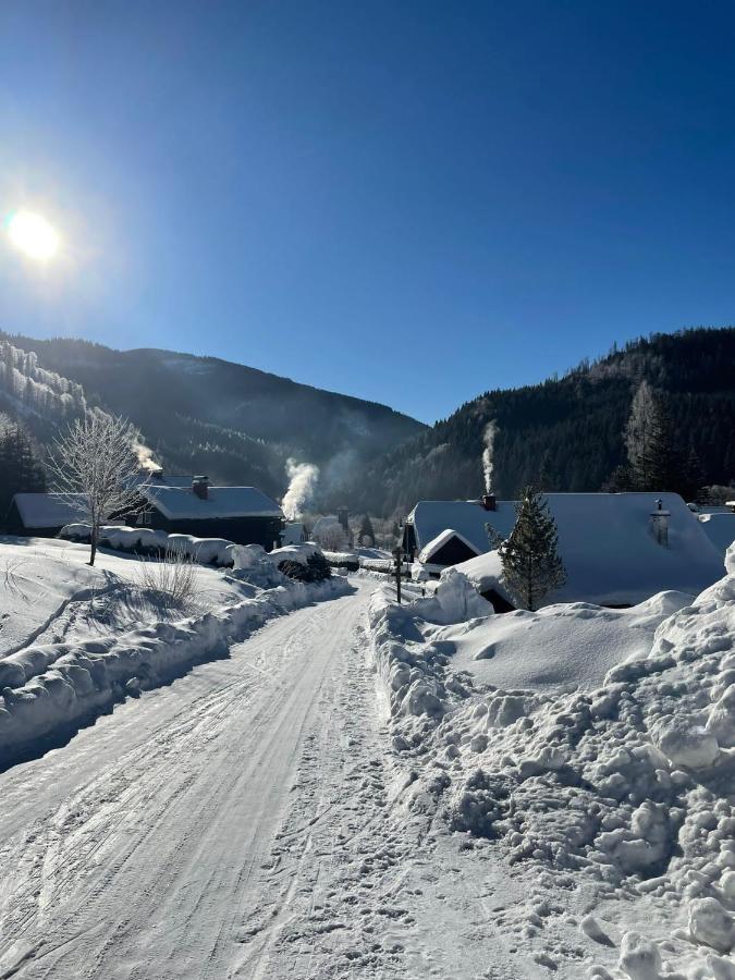 Frein Chalets - Wildalm Frein an der Murz Bagian luar foto