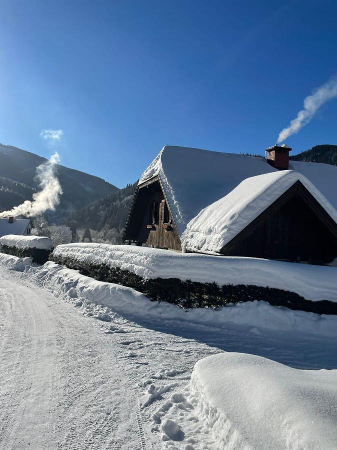 Frein Chalets - Wildalm Frein an der Murz Bagian luar foto