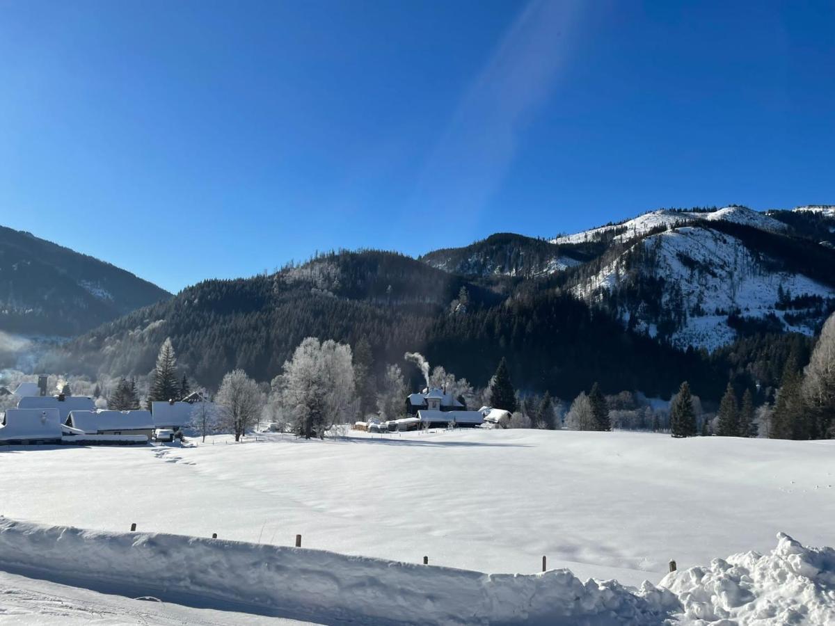 Frein Chalets - Wildalm Frein an der Murz Bagian luar foto