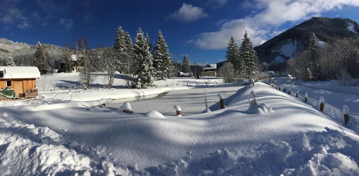 Frein Chalets - Wildalm Frein an der Murz Bagian luar foto